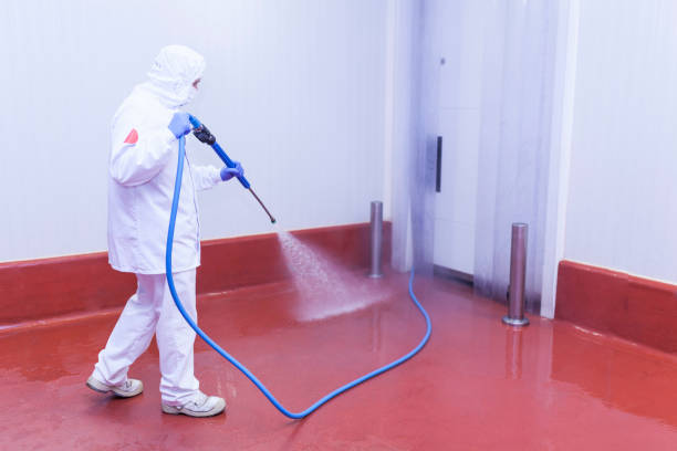 Best Sidewalk and Walkway Cleaning  in Chandler, TX