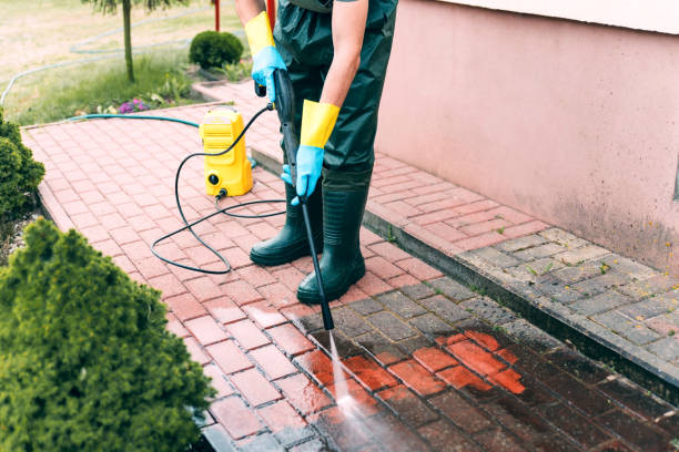Best Dumpster Area Cleaning  in Chandler, TX